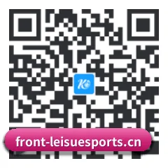 系统版 iOS 二维码